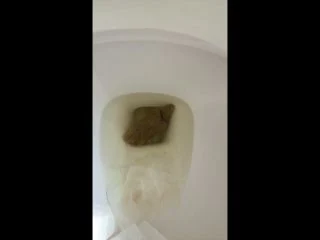 Gassy – CNG Poo Comp 3 screenshot 2