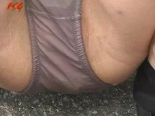 Sharka Walking 10 screenshot 3