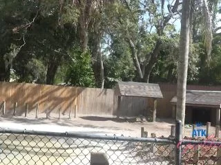 Summer Renee Pee Action Fun screenshot 1