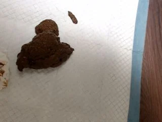 SexyScatForYou – Bikini Tease – Huge Shit screenshot 7