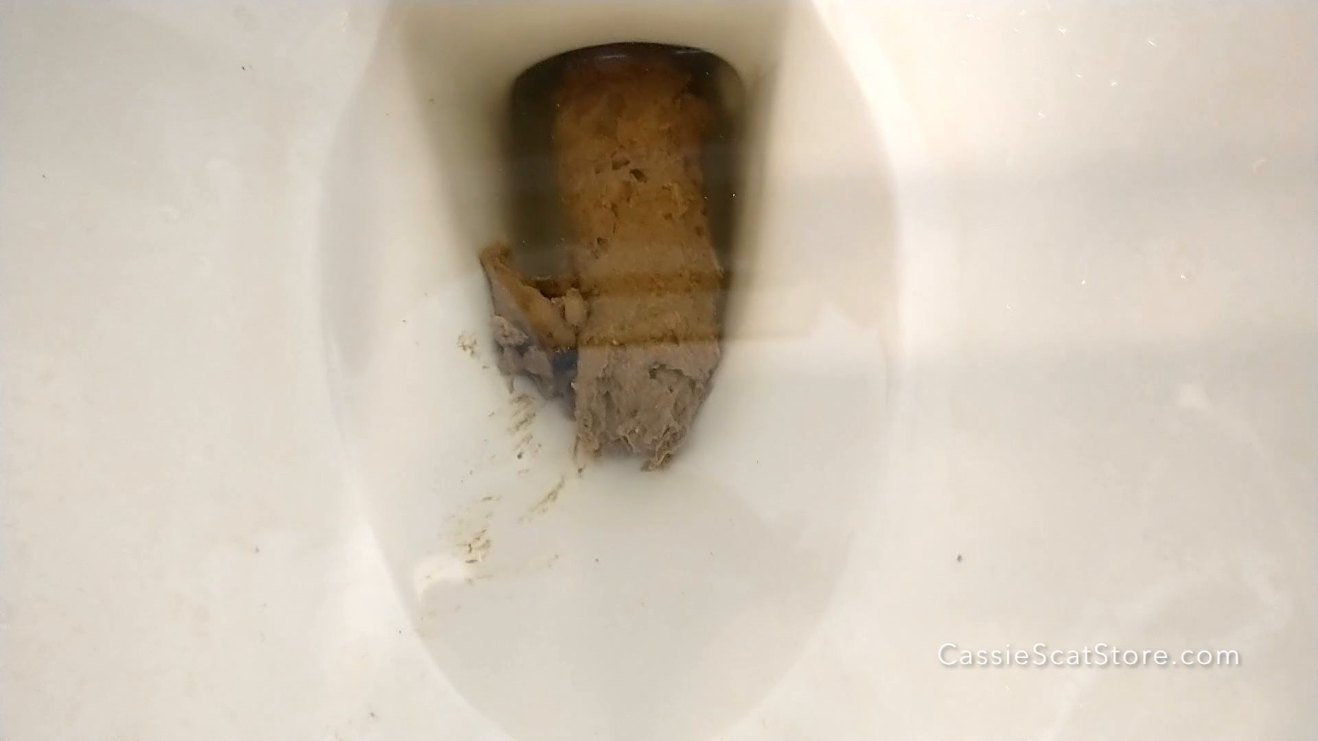 CassieScat – Hiding DESPERATE Poop From Plumber
