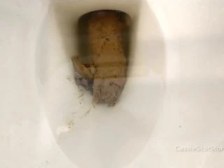 CassieScat – Hiding DESPERATE Poop From Plumber screenshot 5