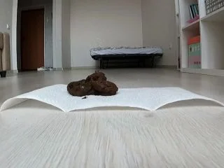 Markovna – Lady Farting After She Shit screenshot 3