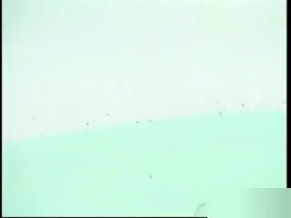 All Pissed Off screenshot 7