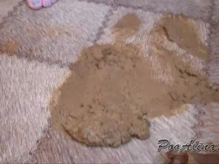 PooAlina – Dirty Alina Pooping In Panties screenshot 7