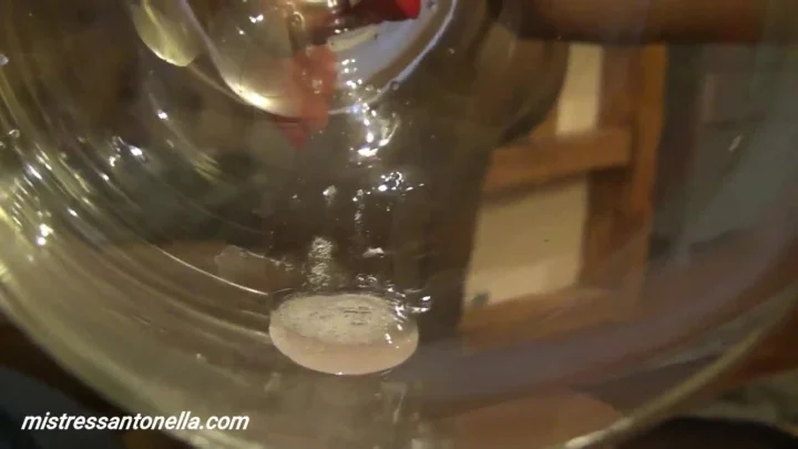 Champagne Vintage 2019 – Mistress Antonella