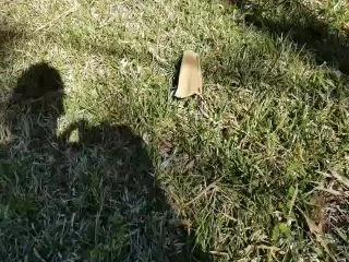Stormi Winters – Watering The Grass screenshot 2