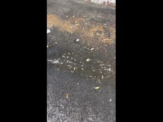 VibeWithMolly – Pee In Parking And In My Mouth screenshot 3