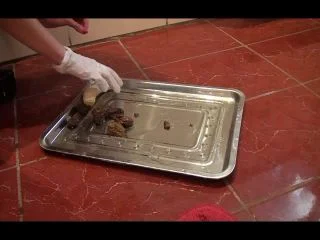 Teasing Farting Caviar By Mistress Antonella screenshot 7