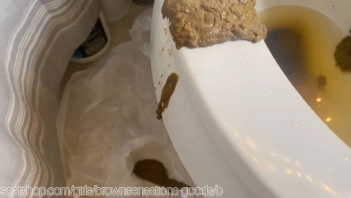 Brownsensations – Destroying My Bathroom
