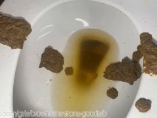 Brownsensations – Destroying My Bathroom screenshot 6