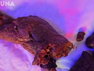 LaTsuna – Beg For It screenshot 7