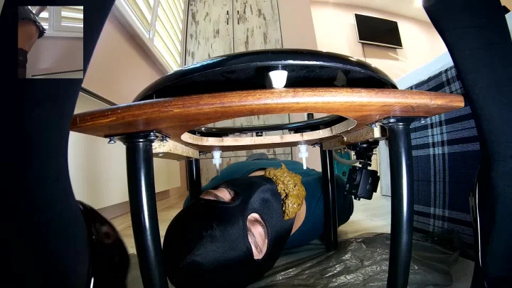 Hairy Mistress Scat