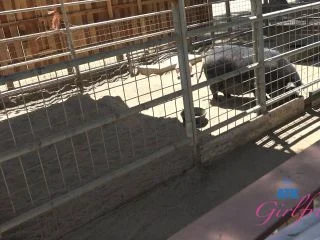 Selina Imai 26.05.2025 screenshot 3