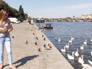 Feeding The Swans – Silvia Dellai screenshot 1