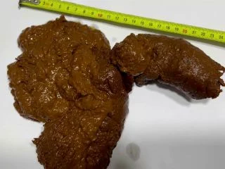 Thefartbabes – Birth Of Shit screenshot 1