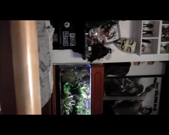 Little Teen Poop – Pantypoop