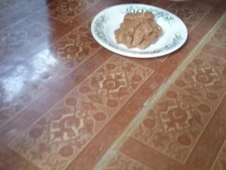 Brown Wife – Shit Instead Of Toothpaste screenshot 4