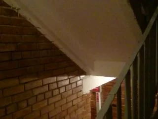Brown Wife – Extreme – Shiting In The Public Hall screenshot 1