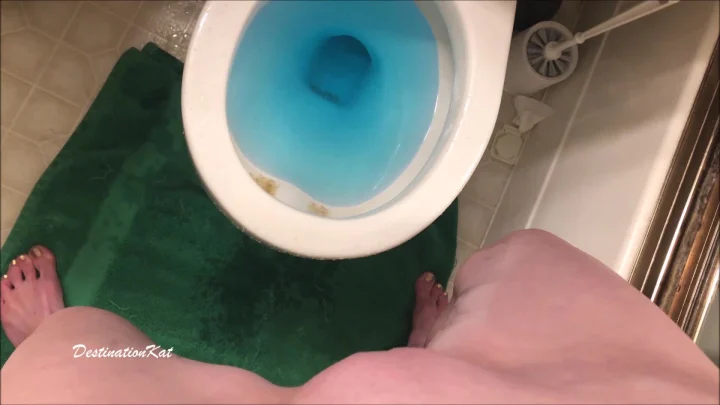Destinationkat – Trying To Pee Standing Up
