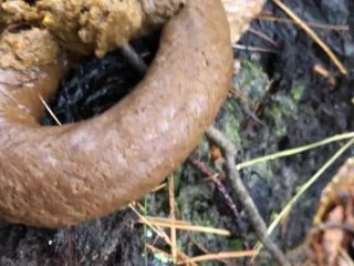 Goddesslucy – Huge Snaky Shit Outdoors screenshot 4