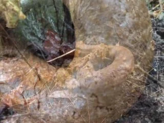 Goddesslucy – Huge Snaky Shit Outdoors screenshot 5