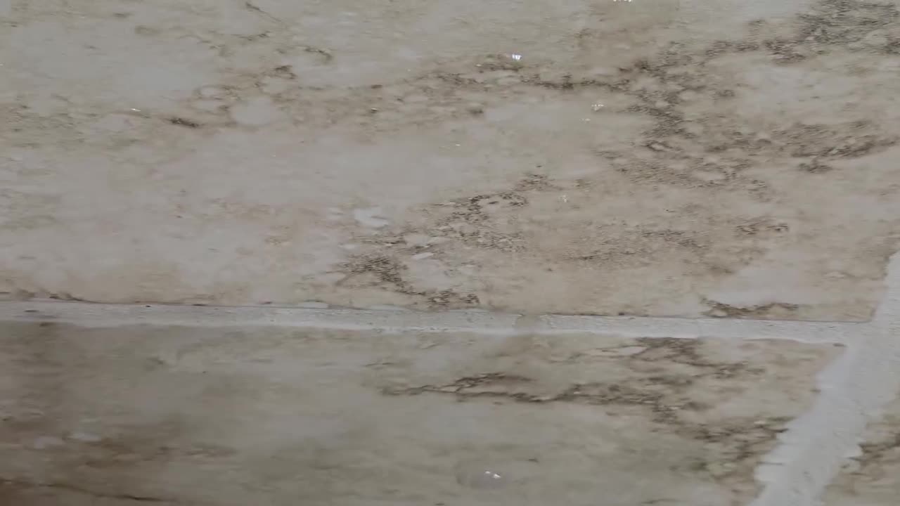 UniQueen21 – UniElla Being Absolutely Disgusting