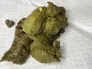 BrooklynsBottom – 3 Slo Mo Poops screenshot 3