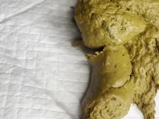 BrooklynsBottom – 3 Slo Mo Poops screenshot 6