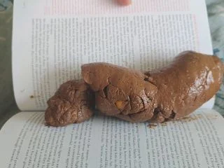 Kitty Skatt – The Book Critic This Book Stinks screenshot 5