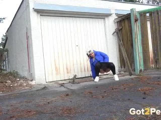 Golden Garages screenshot 2