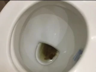 Poop In The Toilet screenshot 3
