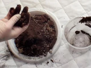 Mommys Fertilizer screenshot 7
