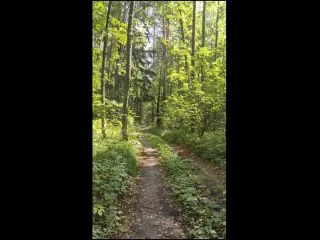PooGirl – Huge Long Poop In The Park screenshot 1