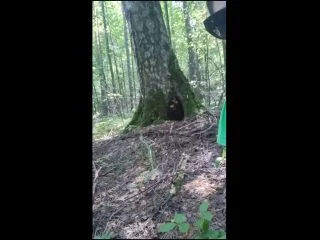 PooGirl – Huge Long Poop In The Park screenshot 5