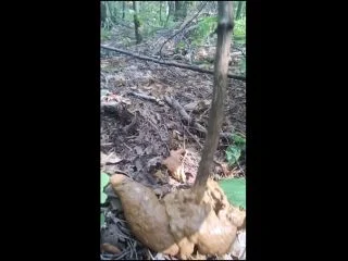PooGirl – Huge Long Poop In The Park screenshot 6