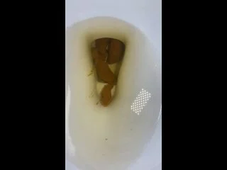 Brownsensations – Dirty Tampon And Long Turd screenshot 5