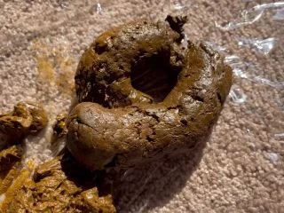 Sophia Sprinkle – Poopin On Sunshine screenshot 6