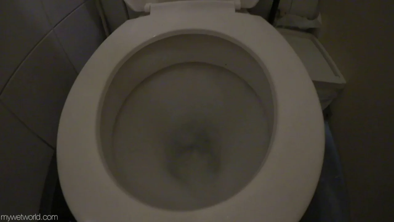 Golden Girls Faye – Voyeuristic Toilet Strip Wetting