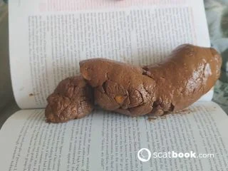 Kitty Skatt – The Book Critic This Book screenshot 5