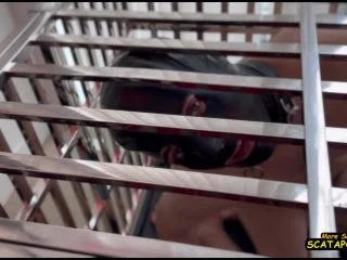 MistressMystique – Not Good Enough To Eat My Shit screenshot 6