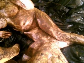 Epic Scat Session – Part 9 screenshot 6