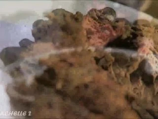 LoveRachelle2 – My First 100 Videos – 13 HOURS Of POOP With Shit Part 3 screenshot 6