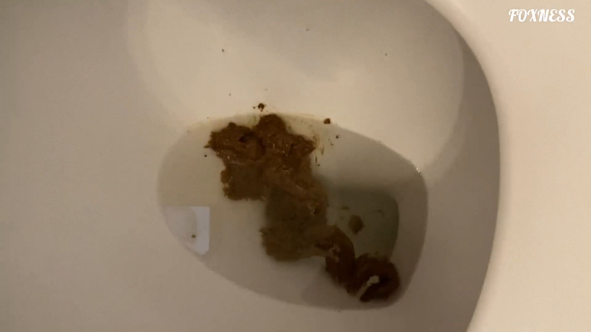 Foxness – POOPING A Series – Episode 24