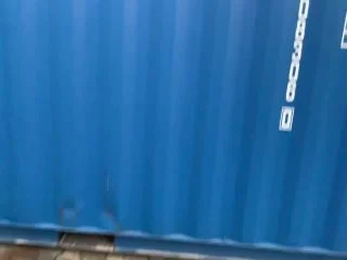 Ship Container Piss – From Lofty Heights Just Let Everything Run screenshot 3