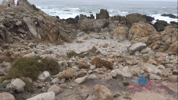 Summer Renee Pee 1835 Scene 2