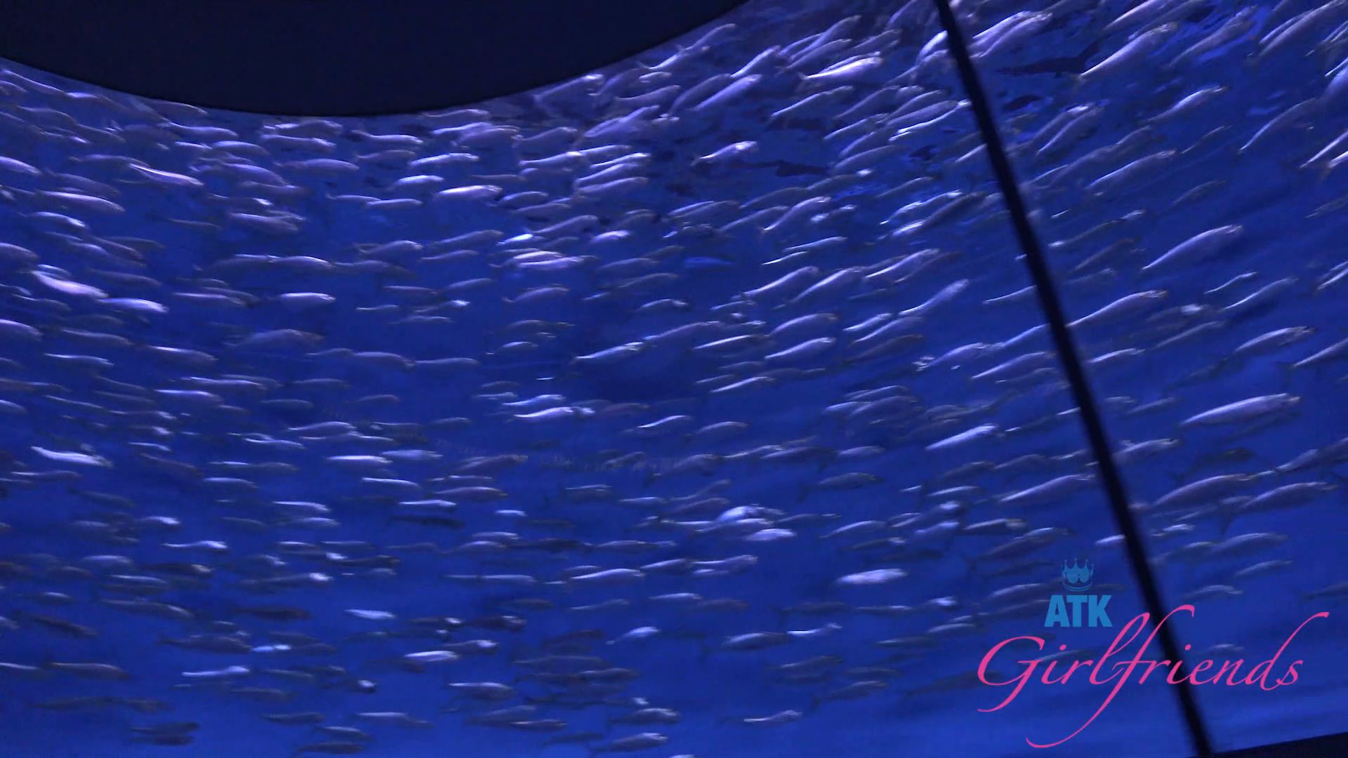 Summer Renee Pee 12.12.2025