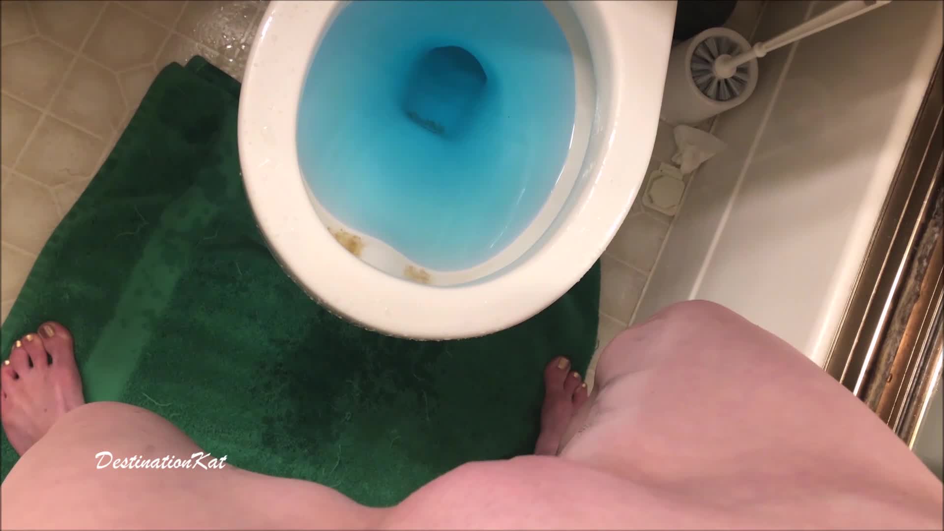 Destinationkat – Trying To Pee Standing Up