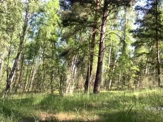Katty West – I Peed In The Woods While No One Sees screenshot 7