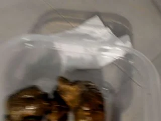 LucyBelle – Hard Pile In Parts screenshot 7